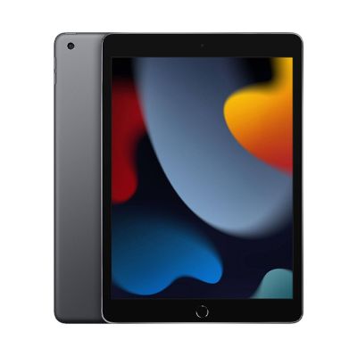 Apple iPad 9 (2021) 10.2" 256GB Wifi - Cellular Space Gray A2604 - Ricondizionato Eccellente